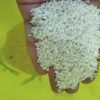 برنج عنبربو با کیفیت عالی و قیمت عمده|خوردنی و آشامیدنی|شوشتر, |دیوار