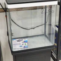 آکواریوم K390 دلسا|ماهی|شیراز, خلدبرین|دیوار