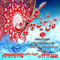 قالیشویی تمام اتوماتیک گلچین ۱۰۰٪ تضمینی|خدمات نظافت|دورود, |دیوار