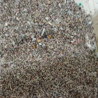 آکواریوم ولوازم|ماهی|زاهدان, |دیوار