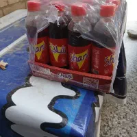 شل ۲۴ عددی شانی بطری