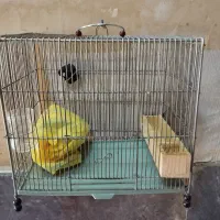 قفس سهره سهره قناری و..|لوازم جانبی حیوانات|شیراز, کوشک میدان|دیوار