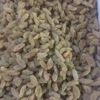 کشمش|خوردنی و آشامیدنی|مشهد, هنرور|دیوار