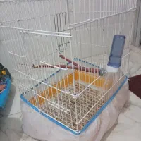 قفس عروس هلندی..قفس پرنده