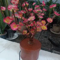 شب خواب|چراغ خواب و آباژور|دزفول, |دیوار