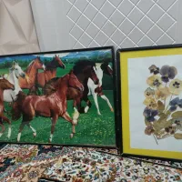 لوازم آشپزخانه|ظروف سرو و پذیرایی|رباط‌کریم, رباط‌کریم|دیوار