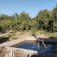 باغچه نقلی خوش اب هوا