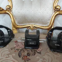 پانچ کارل