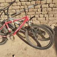 یک جفت دوچرخه|دوچرخه، اسکیت، اسکوتر|کبودرآهنگ, |دیوار