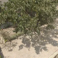 فروش ملک کلنگی.۳۶۰ متری در تهرانپارس غربی