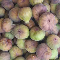 فروش انجیرکیلویی۵۰،انگورلعل وعسگری۶۰|خوردنی و آشامیدنی|رویان, |دیوار