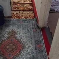 چندعددقالی وقالیچه وپرده|فرش|اهواز, پردیس دو|دیوار