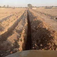 اجاره بیل مکانیکی لاستیکی و بیل بکهو|خدمات حمل و نقل|چهارباغ, |دیوار