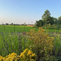 فروش باغ ویلا ۱۰۰۰متری ۱۷۰ متربنا سند دار|فروش خانه و ویلا|چابکسر, |دیوار