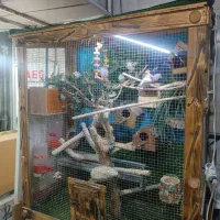 قفس پرنده چوبی