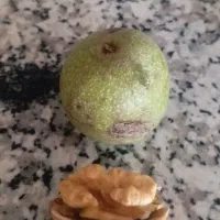 فروش گردو تر باپوست تر نوبرامسال