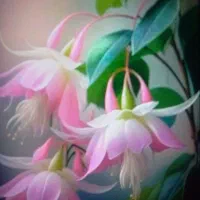 سیم۹۱۲کد۸