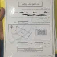 زمین
