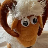 تعدادی عروسک دونه ای ۶۰تومن|اسباببازی بچه|تهران, آذری|دیوار