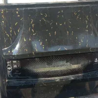 بخاری دو عدد سالم