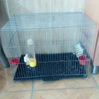 قفس سهره و قناری برای تمام پرندگان ریز جثه|لوازم جانبی حیوانات|فردیس, شهرک هفده شهریور|دیوار