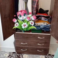 کمدلباس سالم و جا دار|جاکفشی، کمد، دراور|ملارد, |دیوار