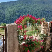 ویلا کوهستانی وجنگلی افراتخته