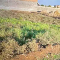 زمین انتخاب انجیرآب ۱۶
