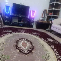 همخانه همخونه