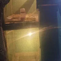 قفس با مرغ عشق|لوازم جانبی حیوانات|سراوان, |دیوار