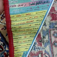 فرش ۹ متری کاملا نو اصلا استفاده نشده|فرش|اندیمشک, |دیوار