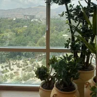 طراحی و راه اندازی مطب و کلینیک