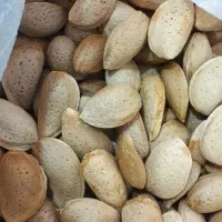 بادام تازه درجه یک