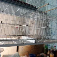 قفس پرون ۱۲۸ سانتی|لوازم جانبی حیوانات|مشهد, امیریه|دیوار