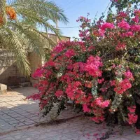 خانه ویلایی|فروش خانه و ویلا|داراب, |دیوار