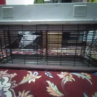 حشره کش برقی شهاب۱۲۰