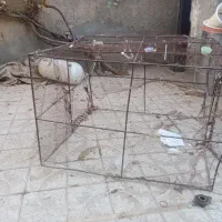 قفس پرنده بزرگ|لوازم جانبی حیوانات|تربت‌حیدریه, حیدرآباد|دیوار