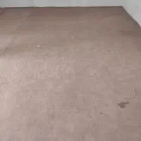 موکت|موکت|قزوین, |دیوار