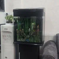 آکواریوم ارتفاع بلند
