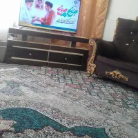 همخونه میشم ۴۸سالمه اقام
