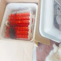 دستگاه جوجه کشی ایزی باتور ۲ با ظرفیت۹۶تایی|لوازم جانبی حیوانات|املش, |دیوار