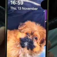 گوشی s21حافظه ۲۵۶