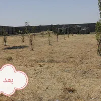 خدمات باغبانی وعلف زنی|خدمات باغبانی و درختکاری|دزفول, |دیوار