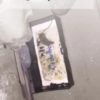 تله موش گیر پلاستیکی|لوازم نظافت|تبریز, |دیوار