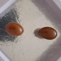 آموزش گوهرتراشی