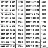 0919-0918
