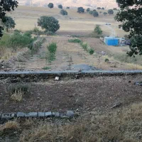 زمین بمساحت 1300 مترمربع جهت خانه باغ یا طرح.|فروش زمین و ملک کلنگی|کارزان, |دیوار