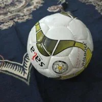 توپ سالنی