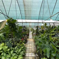 گلخونه گاردن سیتی محمودآباد