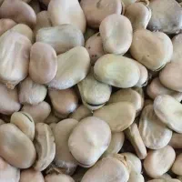 سلام کره گیر برقی باقلا شاخ بزی|سایر لوازم برقی|چگنی, |دیوار